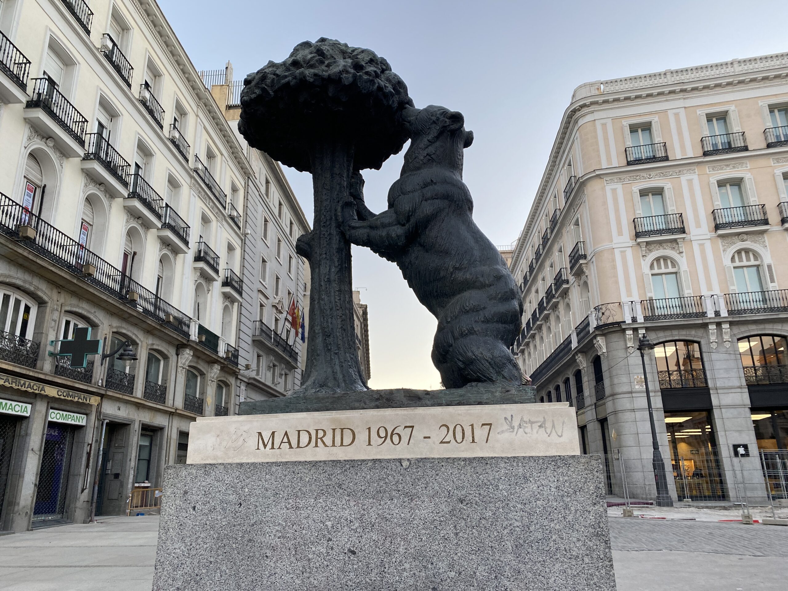 Bear and the Strawberry Tree Madrid